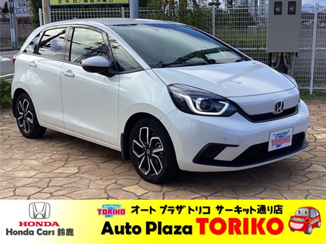 オートプラザトリコの車