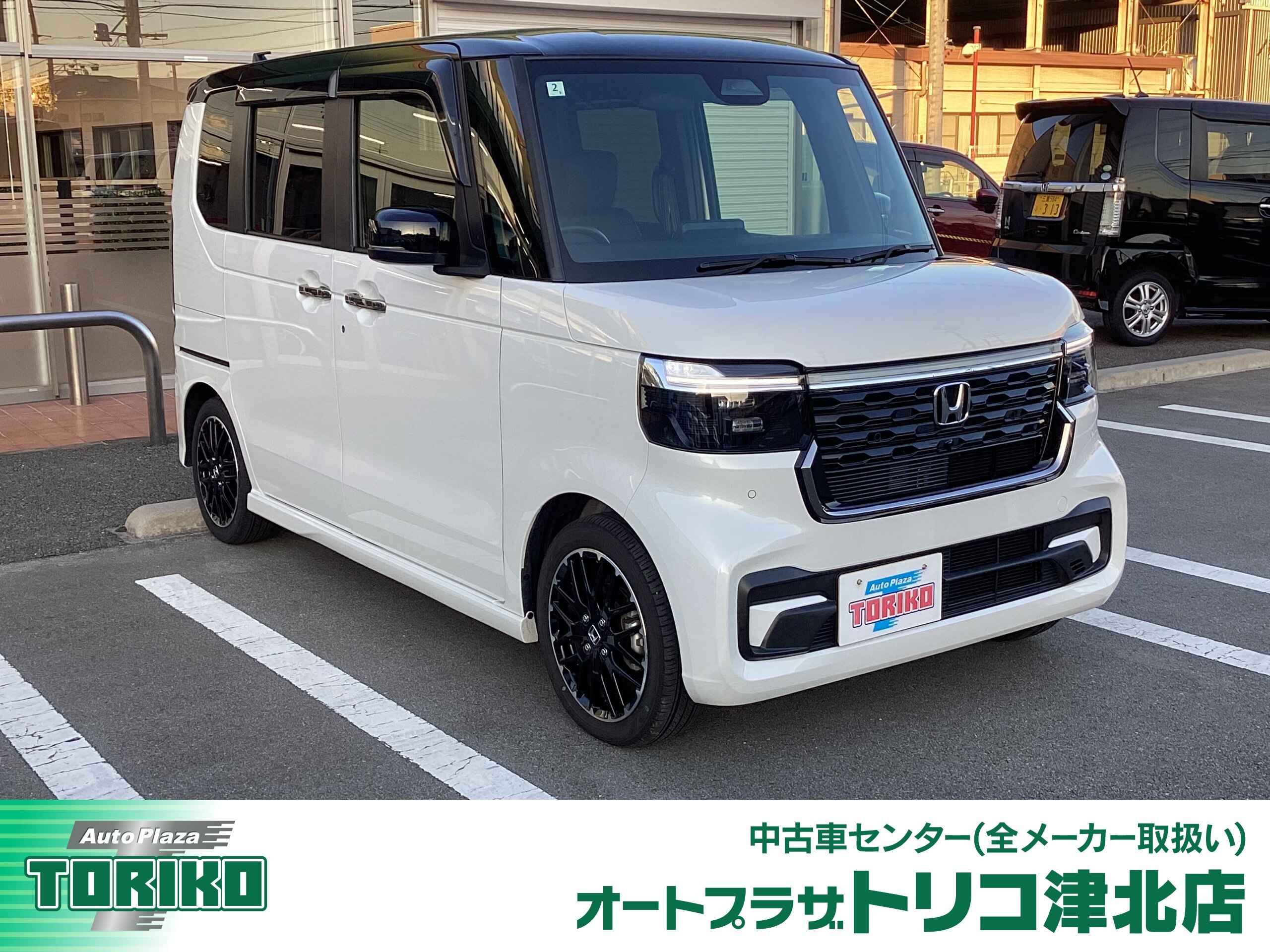 オートプラザトリコの車